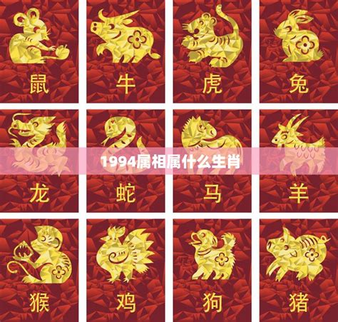 生肖 1994|1994出生属什么生肖查询，1994多大年龄，1994今年几岁